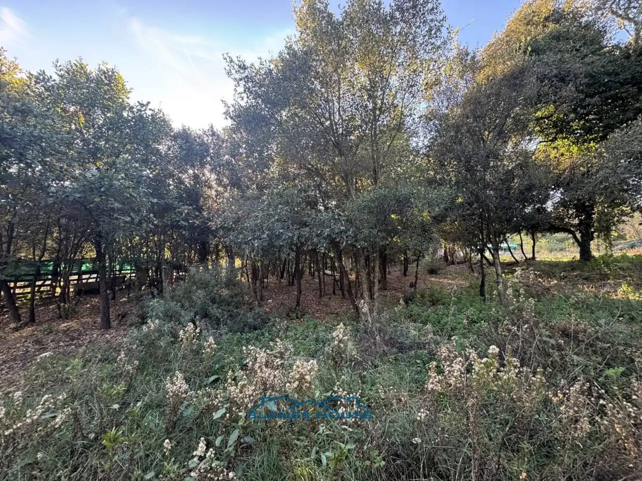 Finca rústica en venda en Tordera amb Jardí privat