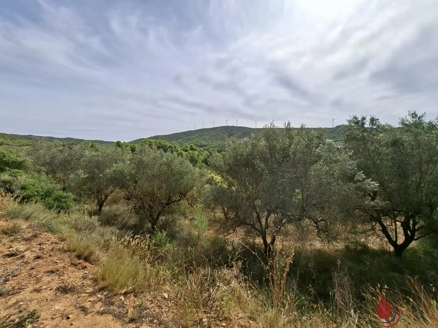 Residencial en venda en Cabra del Camp