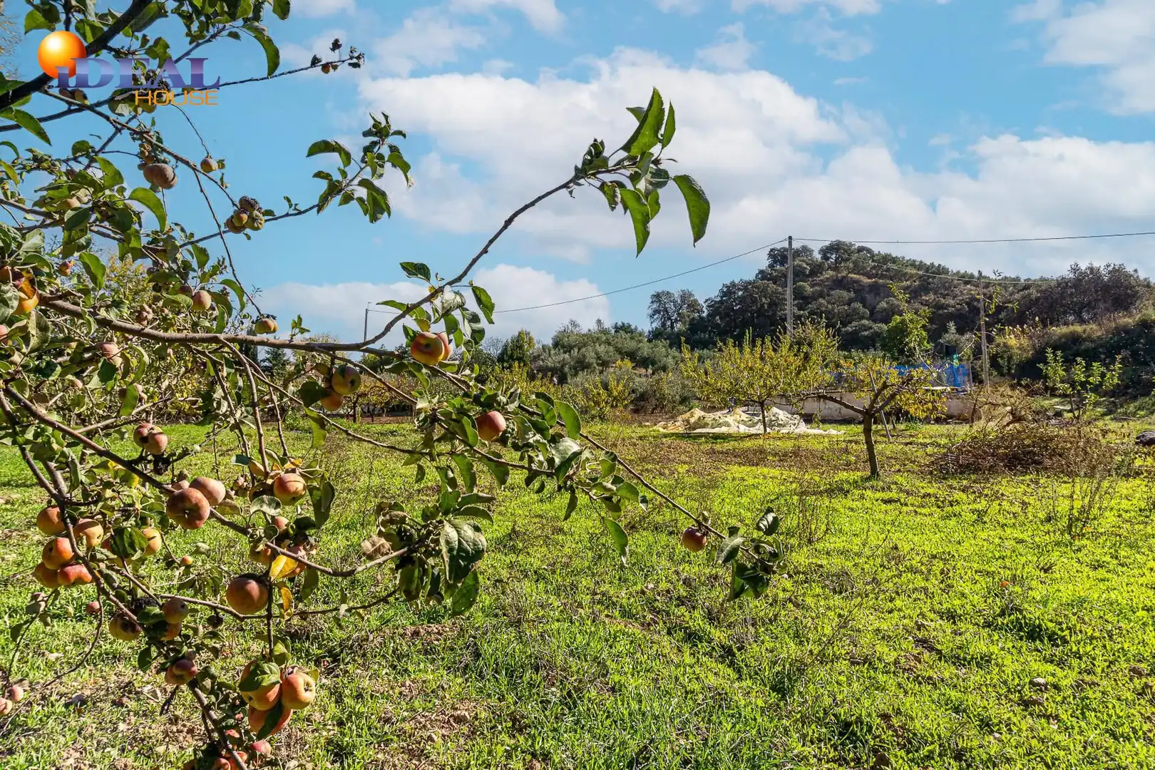 Finca rústica en venta en JA-4306, Castillo de Locubín