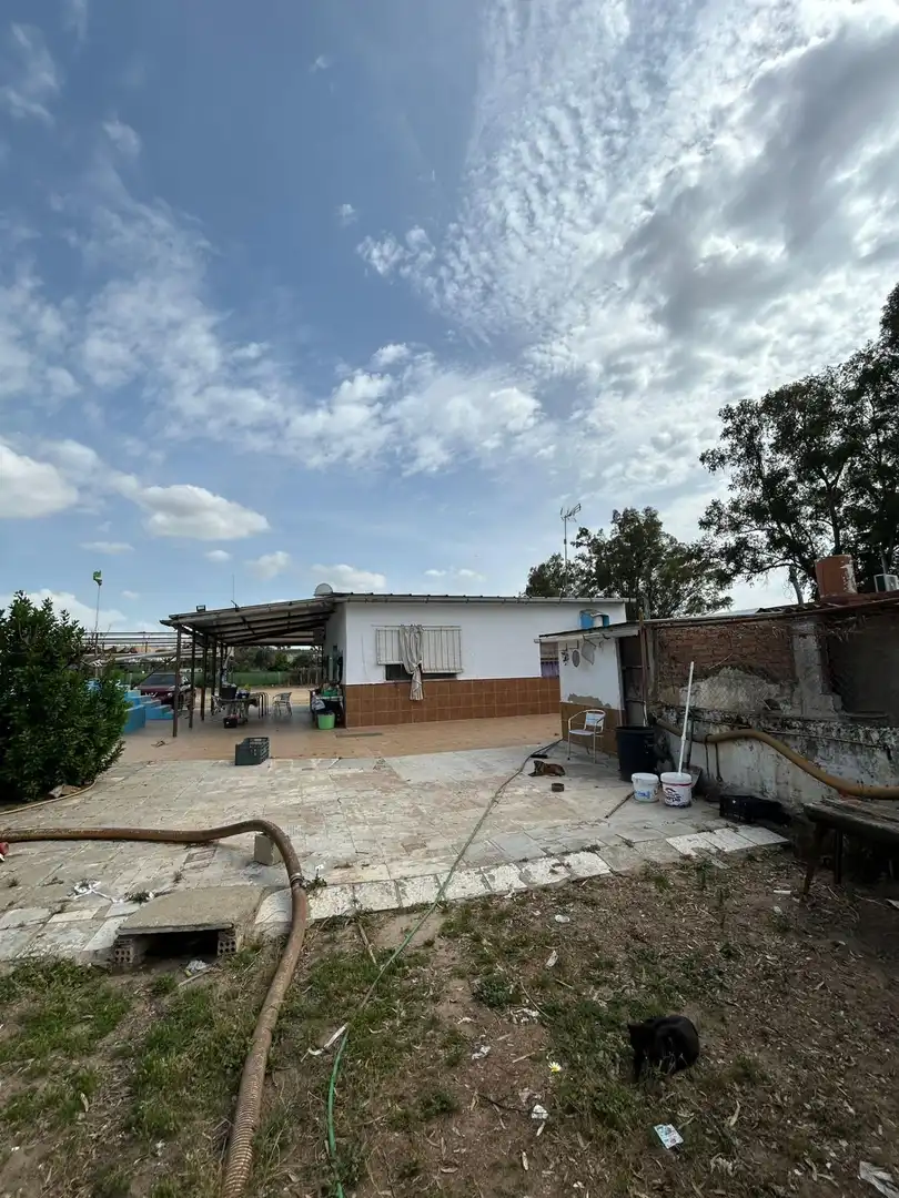 Vista exterior de Finca rústica en venta en Utrera