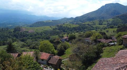 Foto 2 de Finca rústica en venda a Aldea Cofiño, 53c, Parres, Asturias