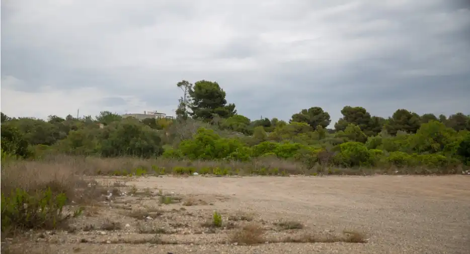 Terreno rustico in vendita a Carrer de la Cigonya 16, imagen 11