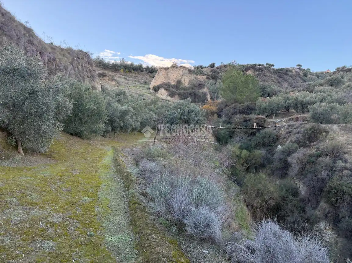 Terreno rustico in vendita a El Valle, imagen 24