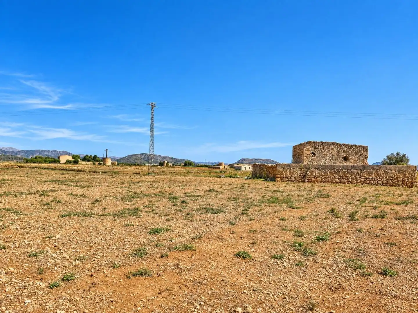 Rural land for sale in Sa Pobla, imagen 3