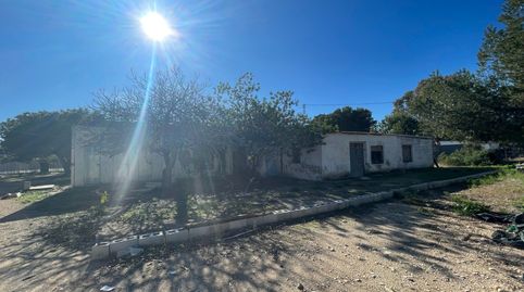 Foto 4 de Finca rústica en venta en N/a, -1, Carrús Oeste, Elche / Elx