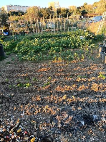 Terreno residencial en Alquiler en Teià