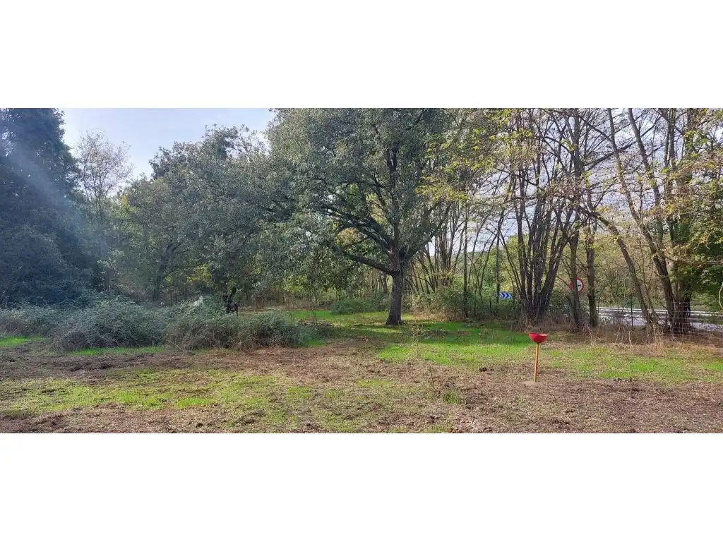 Maison à vendre à Poligono 39 Paraje 484 Rivera Avid, imagen 9