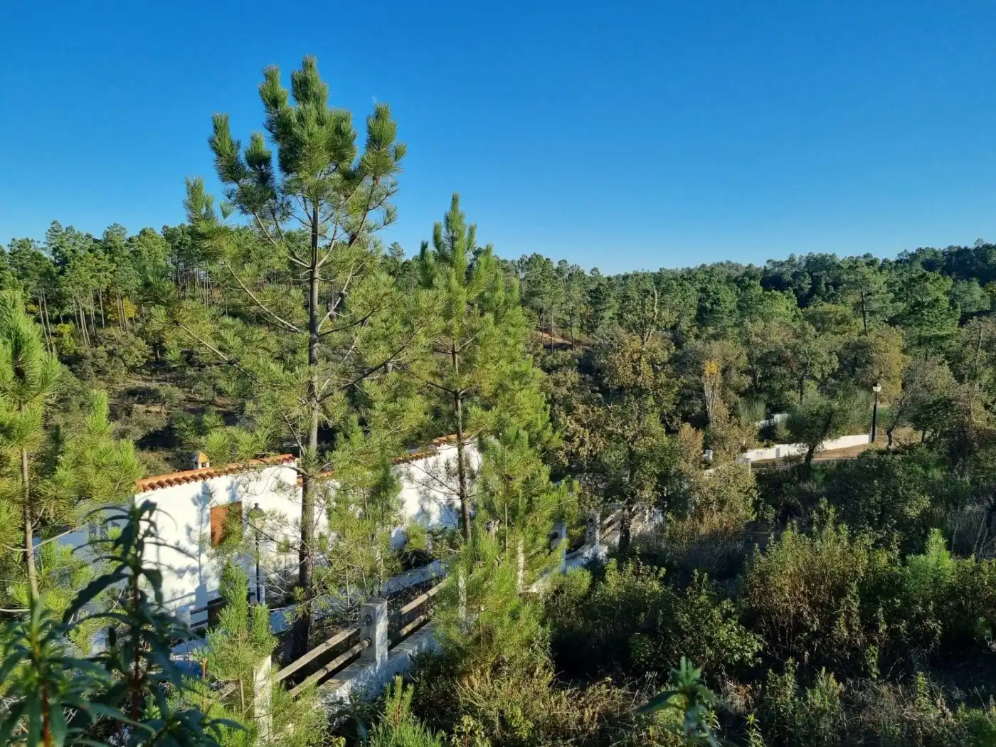 Casa o chalet en venta en Valdelarco