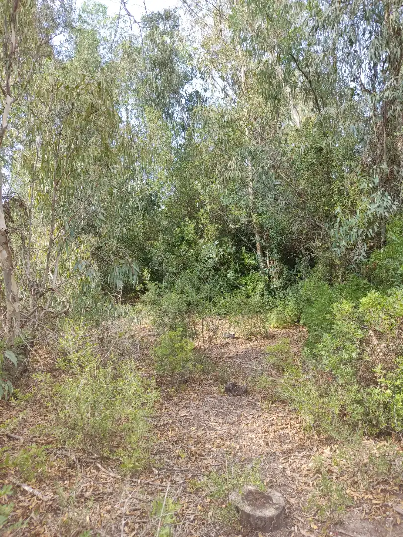 Terreni e lotti in vendita a Las Lagunas - Campano, imagen 18