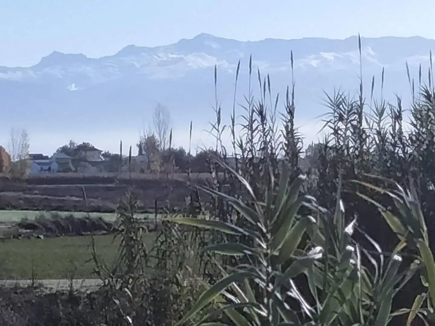 Casa en venda a Fuente Vaqueros, imagen 10