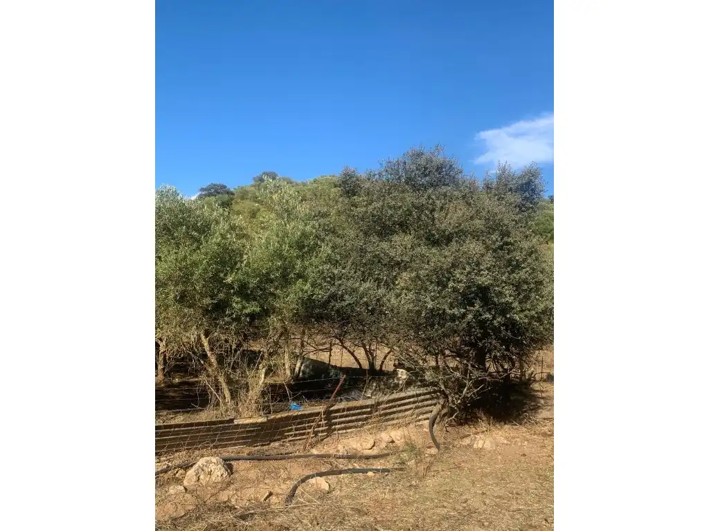 Residential for sale in Morón de la Frontera