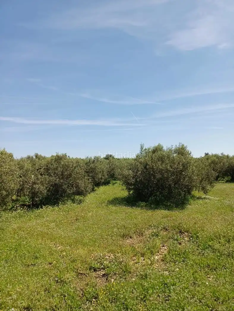 Rural land for sale in Carrer Molí del Mig 29, imagen 2