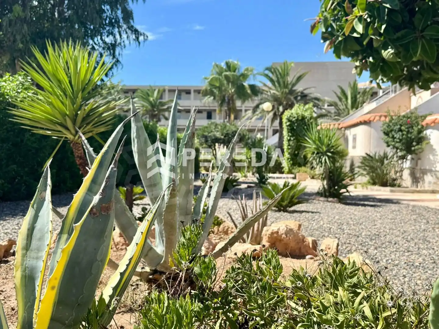 Jardí de Estudi en venda en Roquetas de Mar amb Jardí privat i Piscina comunitària