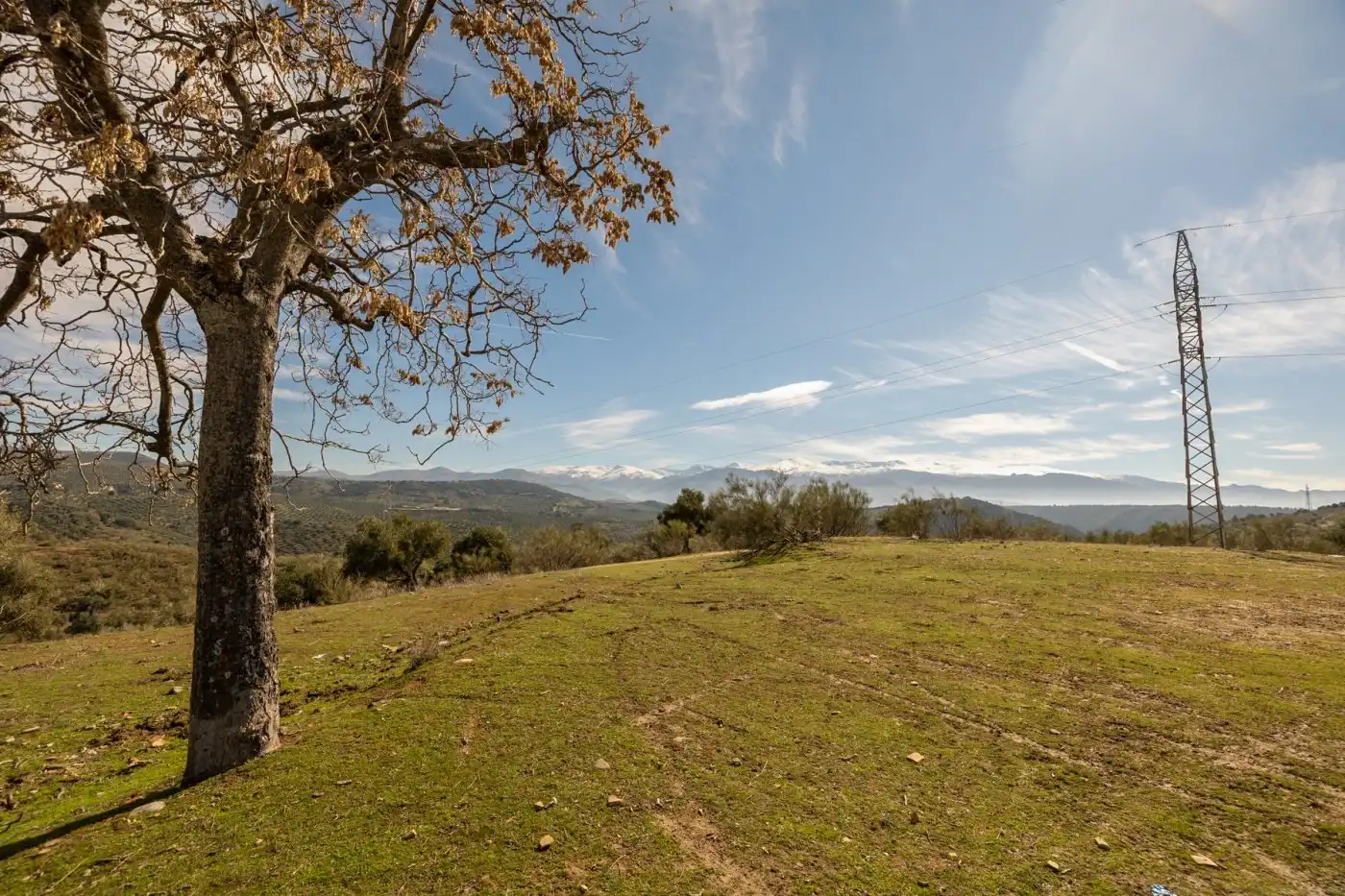 Country house for sale in Albaicín, imagen 41