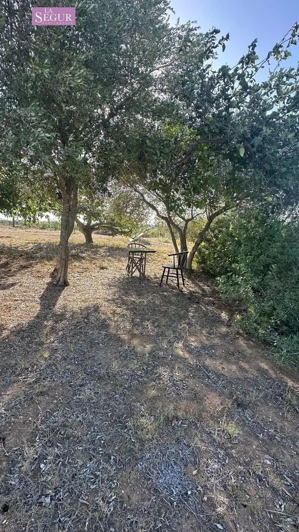 Casa rustica con giardino in vendita a Barrio Nuevo, imagen 23