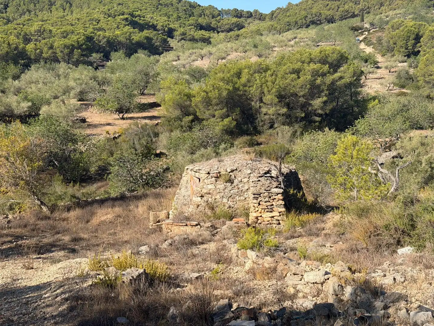 Casa rustica in vendita a El Perelló, imagen 13