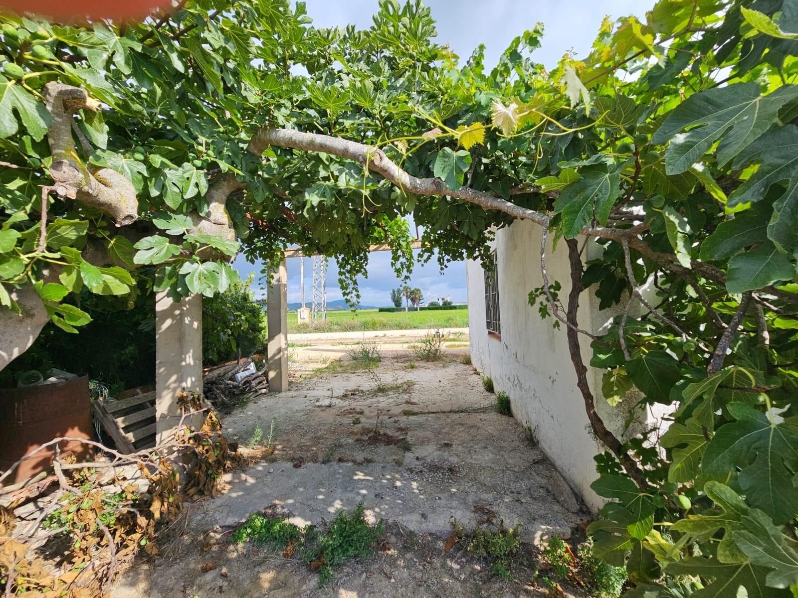 Finca rústica en venda en Sant Carles de la Ràpita
