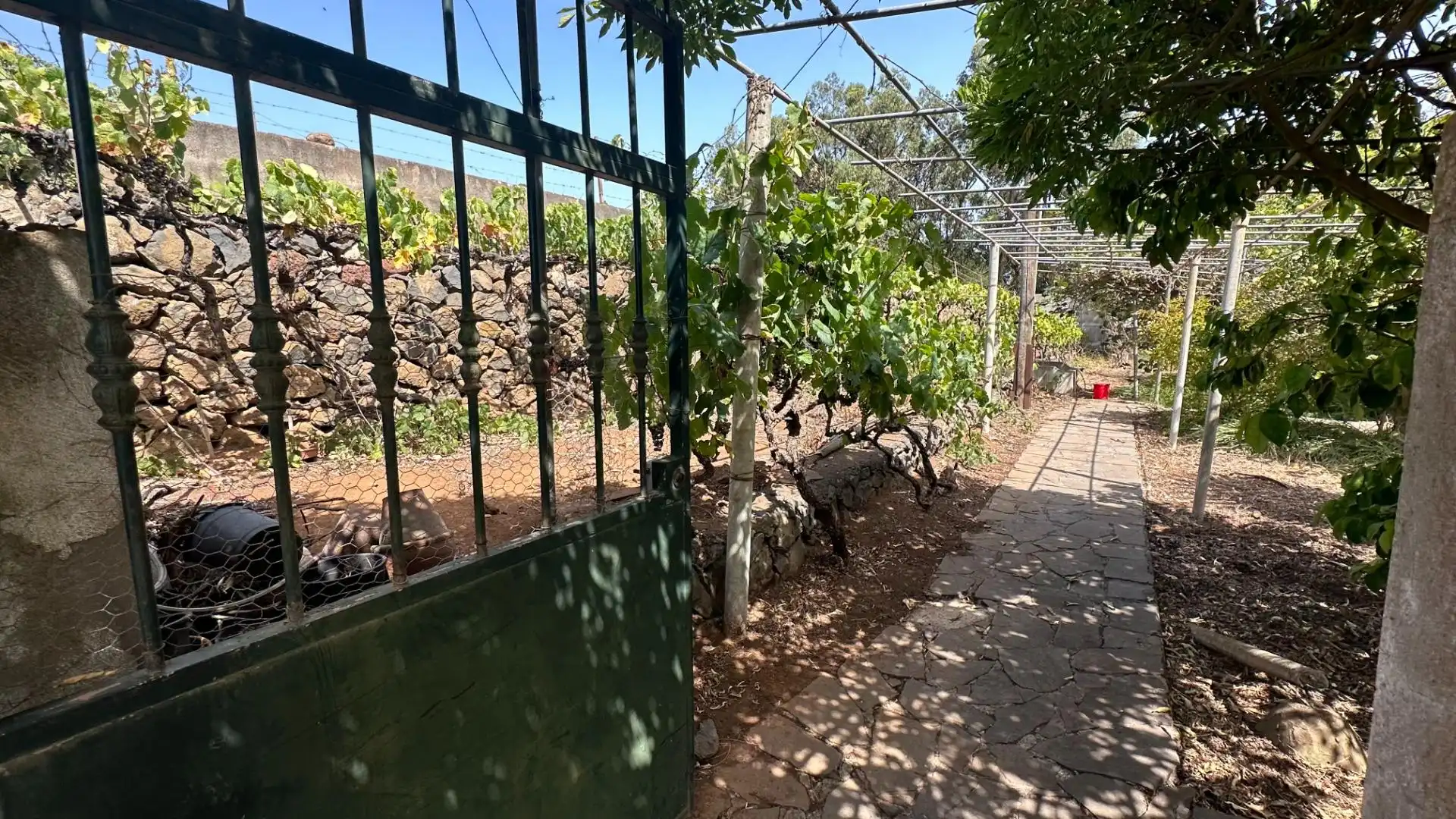 Jardín de Finca rústica en venta en El Rosario con Jardín privado, Terraza y Alarma