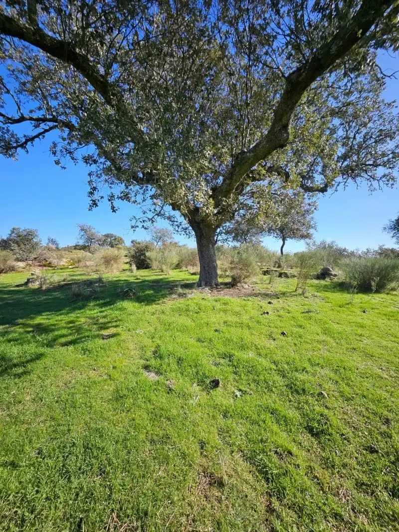 Terreni e lotti in vendita a Aldea del Cano, imagen 23