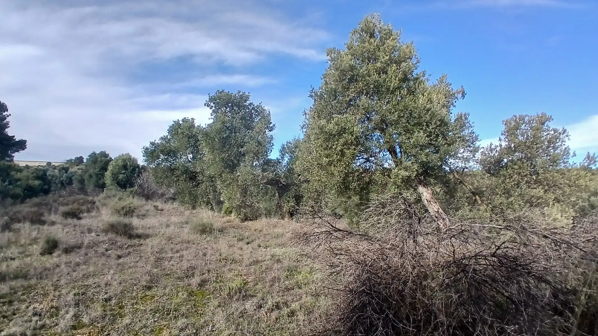 Terreni e lotti in vendita a Calaceite, imagen 3