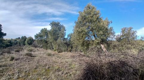 Photo 3 of Land for sale in N/a, -1, Calaceite, Teruel