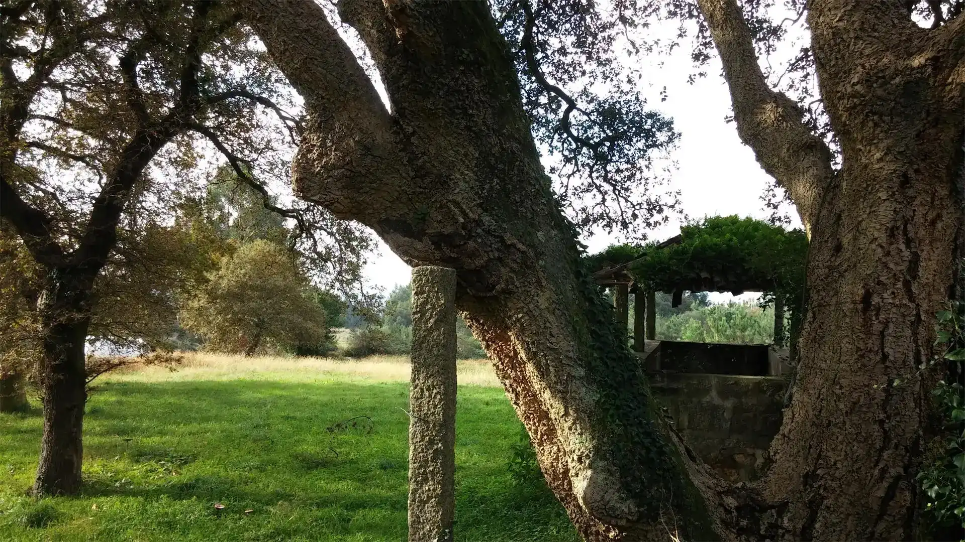 Jardí de Casa o xalet en venda en Vilagarcía de Arousa