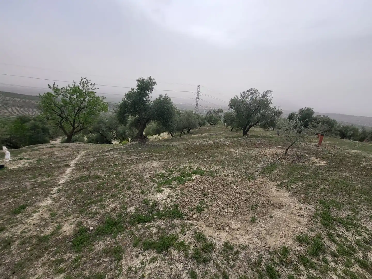 Rustikales Grundstück zum Verkauf in Güevéjar, imagen 13