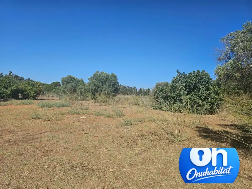 Terrenos y solares en venta en Gibraleón, imagen 9
