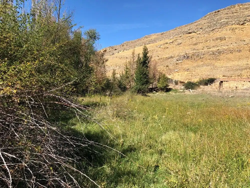 Finca rústica en venta en Segovia