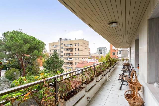 Piso en Alquiler en Nueva España