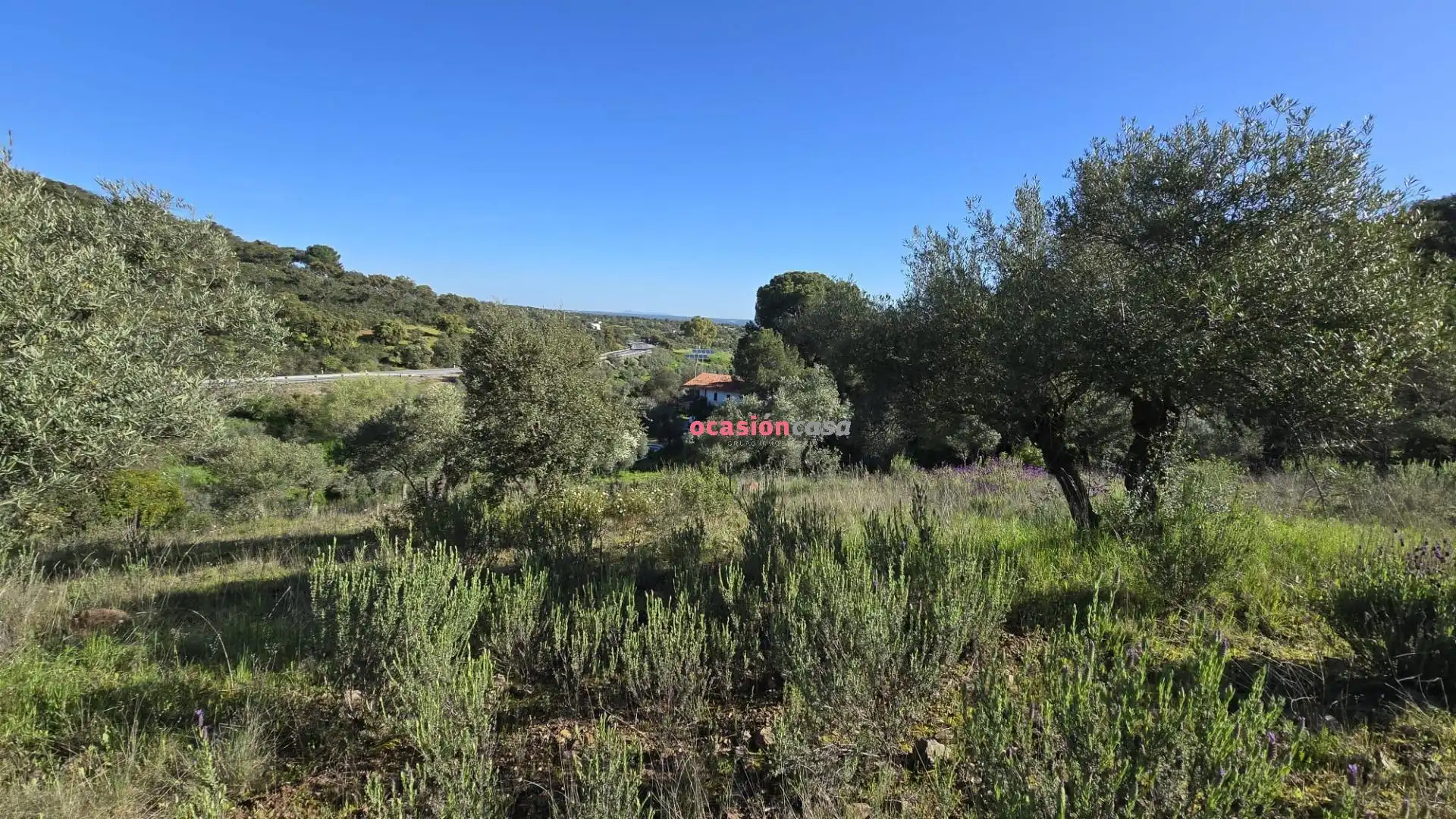 Casa o chalet en venta en Pozoblanco con Jardín privado, Terraza y Trastero