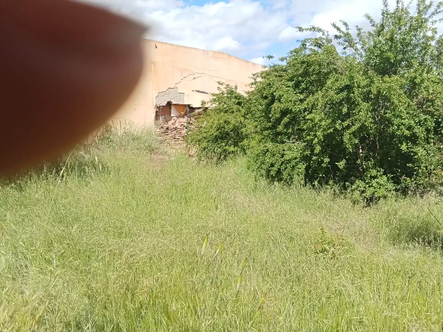 Detached homes for sale in Zamora Capital 