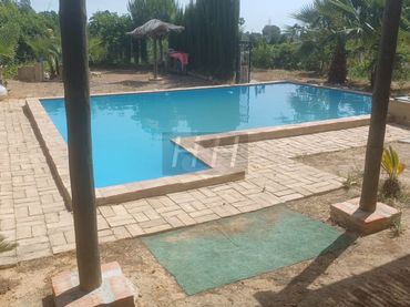 Rural land for sale in Nueva Santa Barbara - Cruz de Gracia