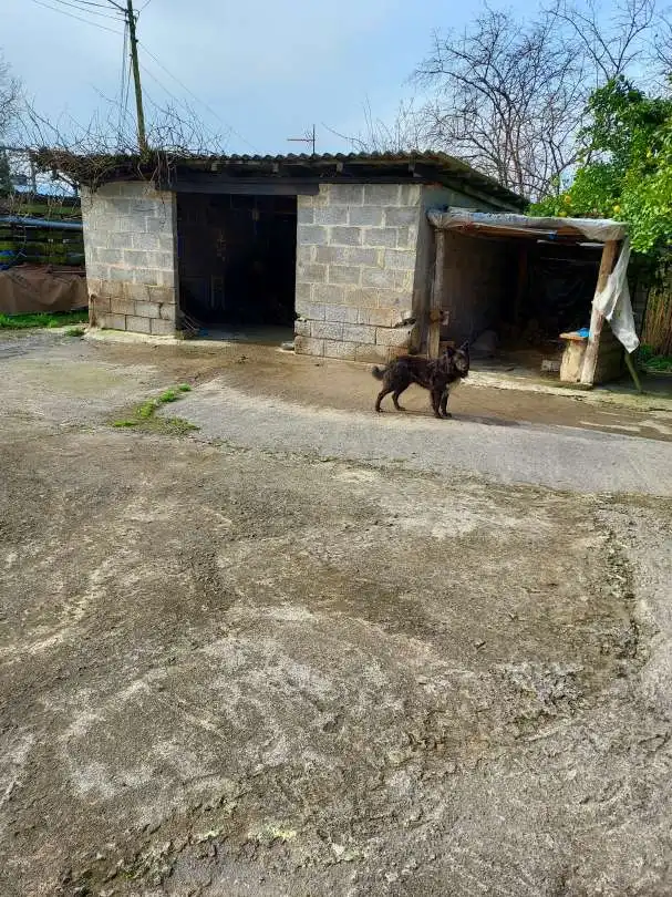 Casa adosada en venda en Amorebieta-Etxano