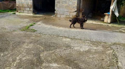 Foto 5 de Casa adosada en venda a Amorebieta-Etxano, Bizkaia