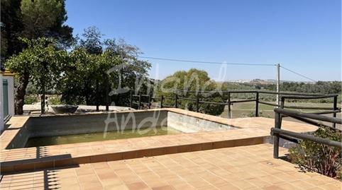 Foto 5 de Finca rústica en venta en Cabra, Córdoba