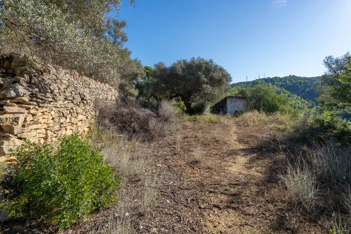 Terreny rústic en venda a Camí de la Potra de Pino 28, imagen 30