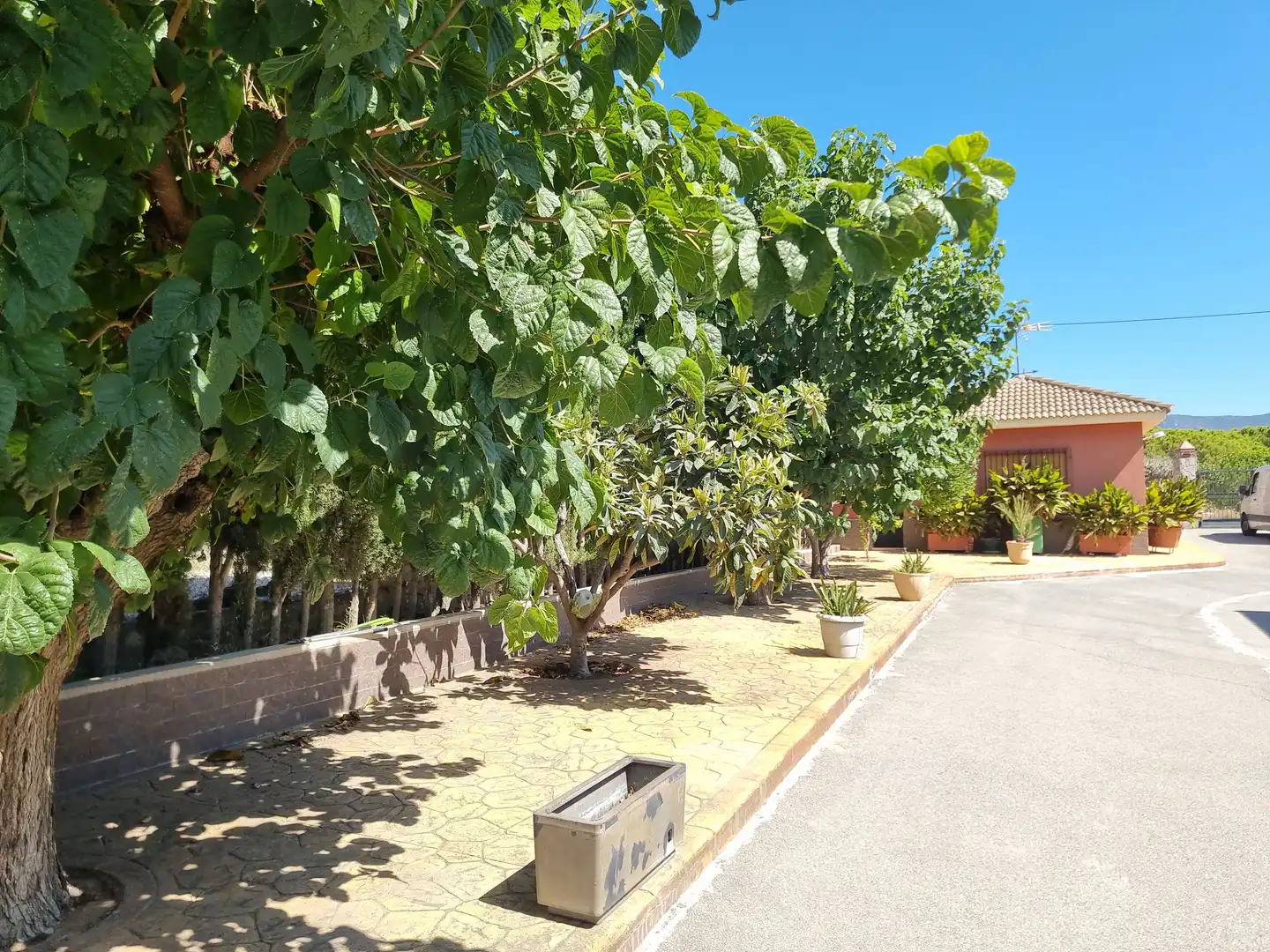 Detached house with pool for sale in Sax, imagen 31