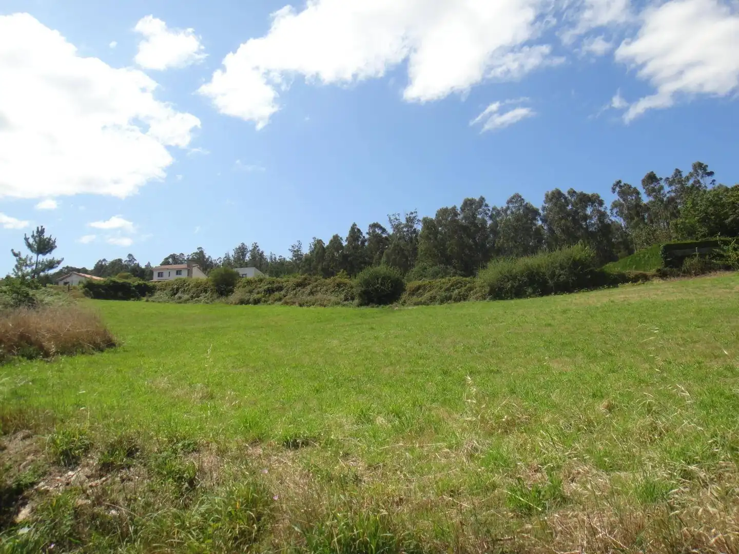 Lands and plots for sale in Brión, imagen 8