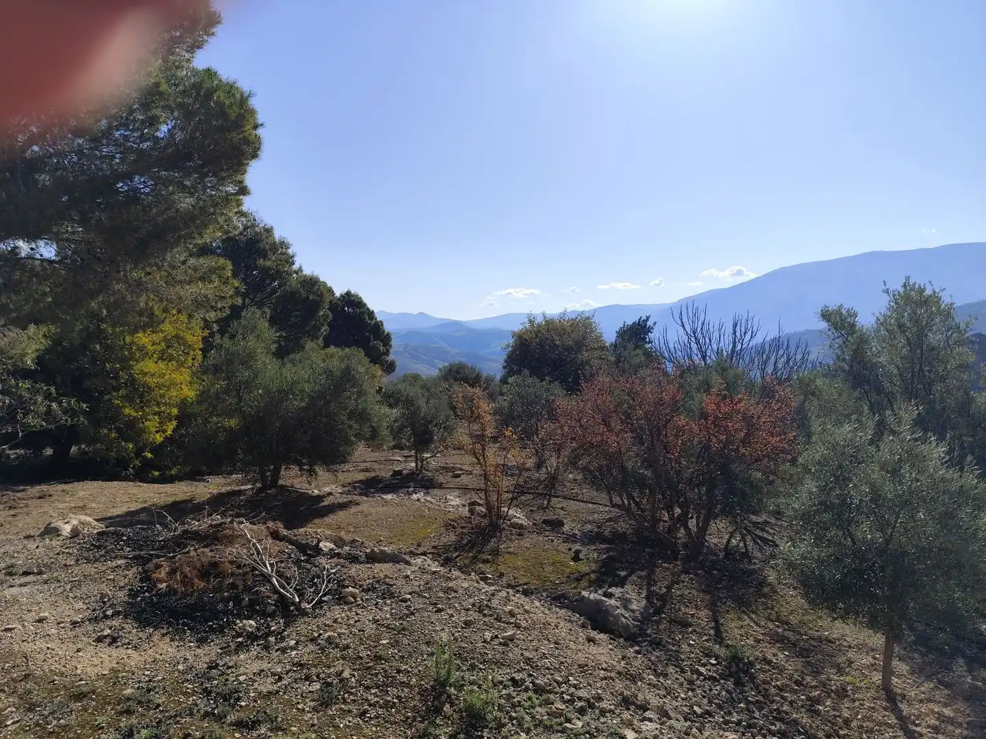Maison rustique à vendre à de Izbor s/n, imagen 14