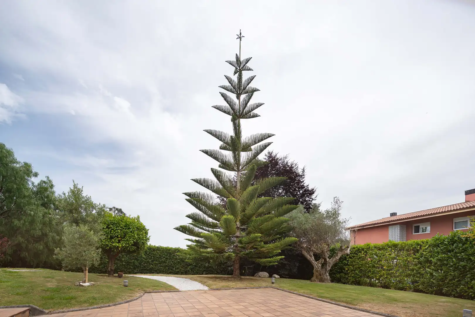 Jardín de Casa o chalet en venta en Sada (A Coruña) con Calefacción, Jardín privado y Piscina
