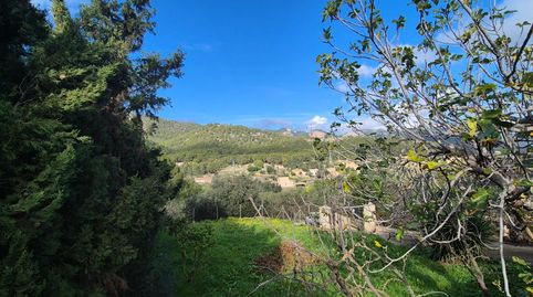 Foto 4 de Finca rústica en venta en Polígono 4 Paraje 41 Sa Taulera, Alaró, Illes Balears