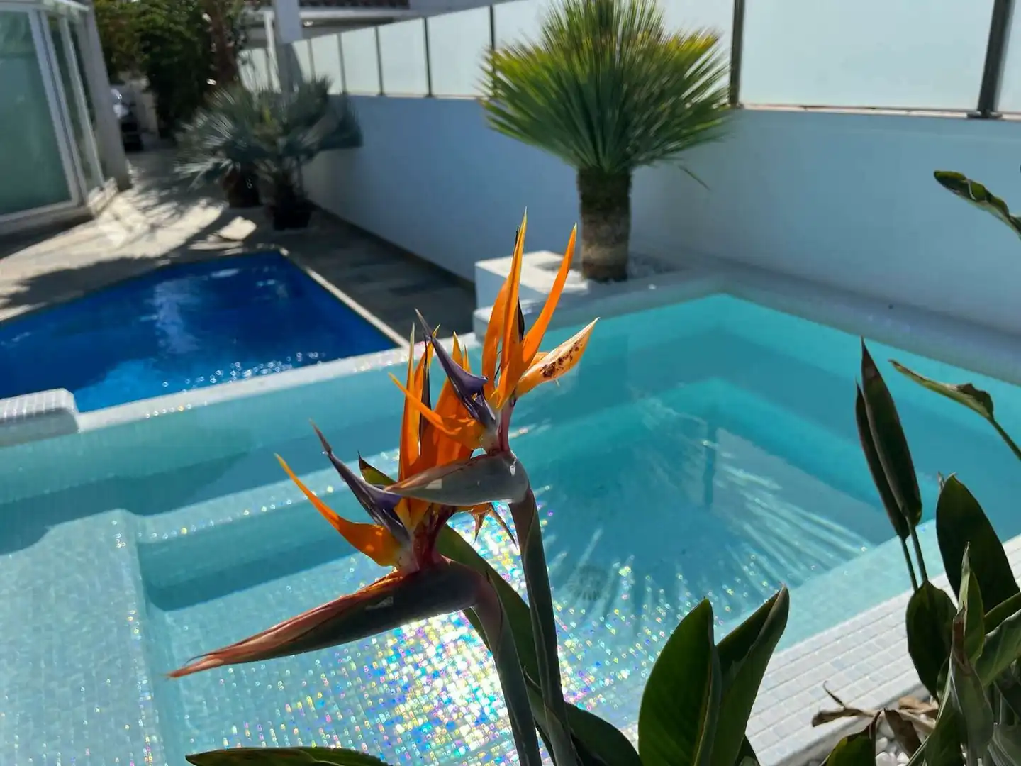 Casa amb piscina en venda a Cap Ras - Creus - Falconera, imagen 23