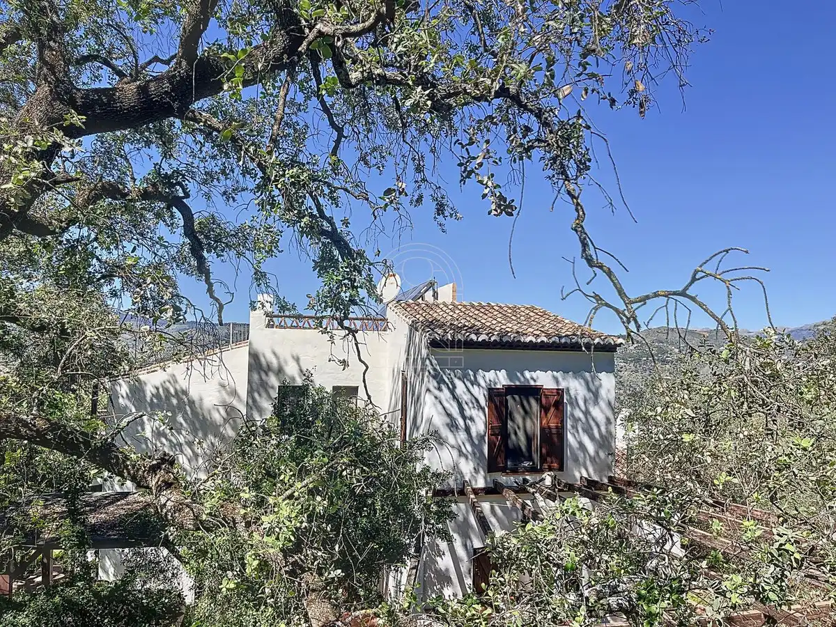 Vista exterior de Finca rústica en venta en Comares con Aire acondicionado, Jardín privado y Terraza