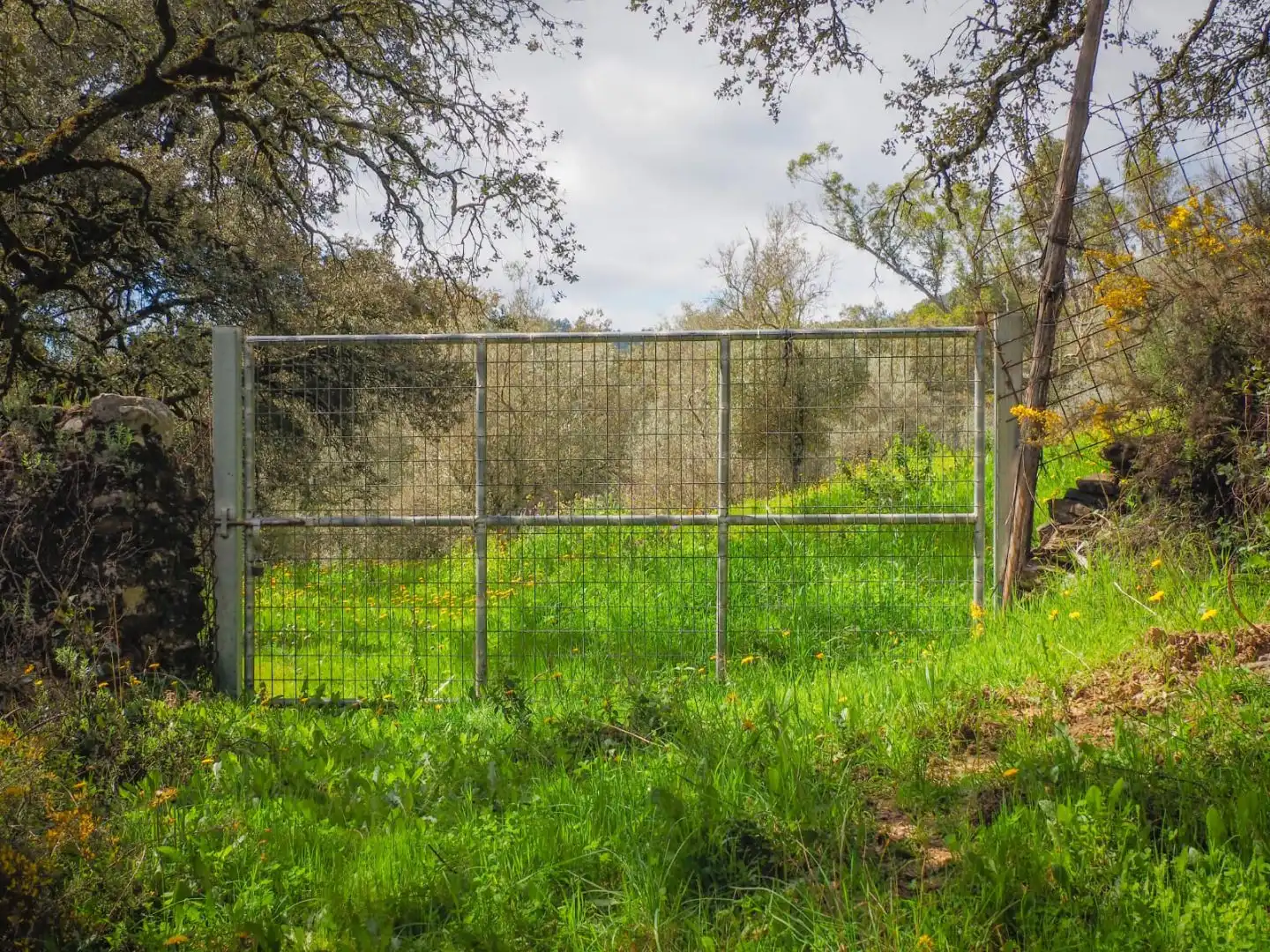 Garden of Land for sale in Linares de la Sierra