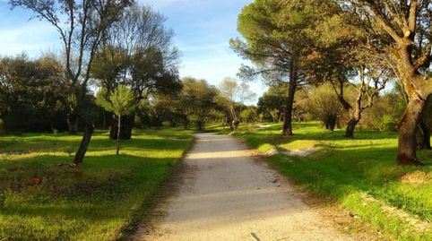 Foto 4 de Pis en venda a Carretera de Majadahonda, -1, Casco Antiguo, Boadilla del Monte