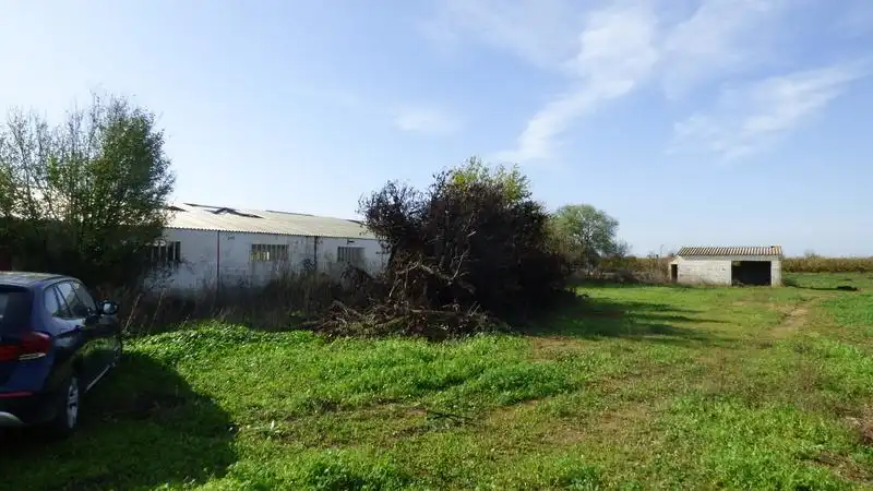 Nave industrial en venta en Puebla de la Calzada