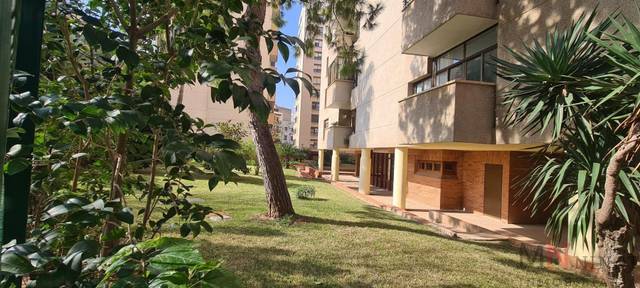 Piso en Alquiler en Villavieja en Rafalafena