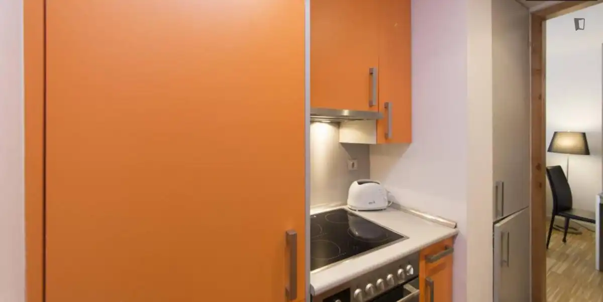 Apartamento con ascensor en alquiler en Centro, imagen 12