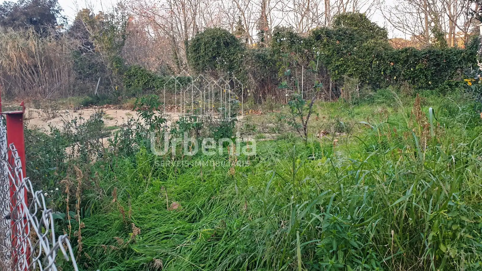 Terreno rústico en venta en Sant Iscle de Vallalta, imagen 2